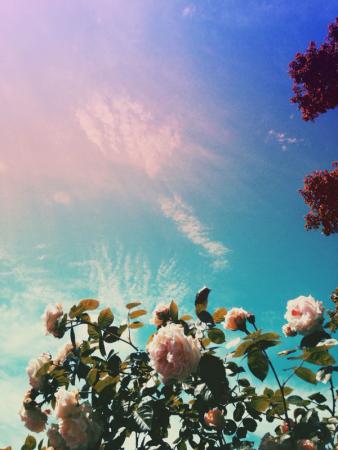 Название: IMG_2619.jpg
Просмотров: 719
Размер: 24.6 Кб