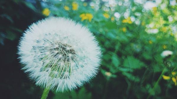 Название: IMG_2620.jpg
Просмотров: 727
Размер: 29.4 Кб