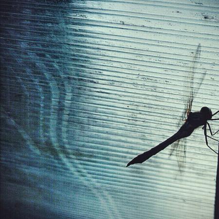 Название: IMG_2623.jpg
Просмотров: 721
Размер: 46.3 Кб