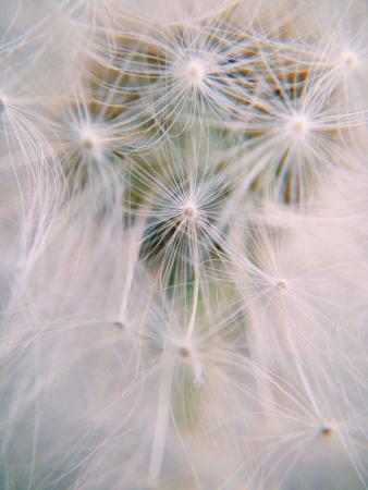 Название: IMG_2715.jpg
Просмотров: 550
Размер: 20.3 Кб