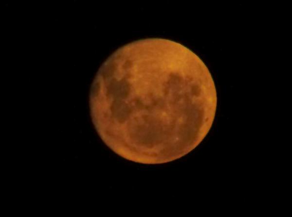 Название: luna2.jpg
Просмотров: 439
Размер: 9.6 Кб