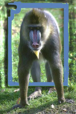 Название: obeziayna1.jpg
Просмотров: 697
Размер: 30.7 Кб