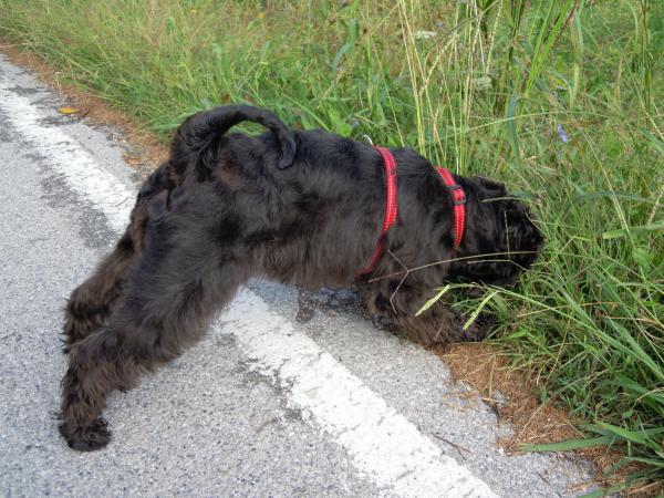 Название: DSCN5102.jpg
Просмотров: 483
Размер: 65.4 Кб