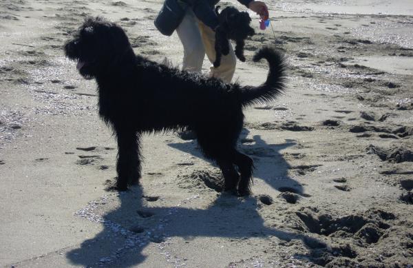 Название: DSCN52331.jpg
Просмотров: 461
Размер: 50.8 Кб