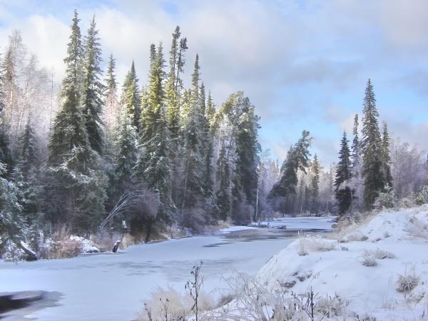 Название: DSC05825.jpg
Просмотров: 630
Размер: 47.6 Кб