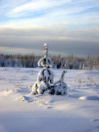 Название: DSC07371.jpg
Просмотров: 622
Размер: 21.4 Кб