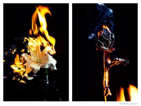 Название: 9-Zhang-Jingna-14-Steps-to-Improve-Your-Photography-New-Subject-Flower-FIre.jpg
Просмотров: 742
Размер: 33.7 Кб