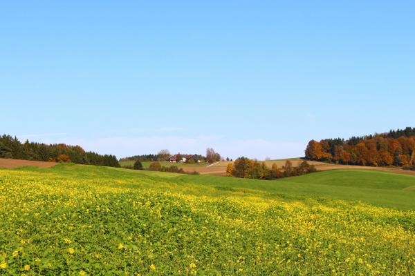 Название: image.jpg
Просмотров: 771
Размер: 38.2 Кб