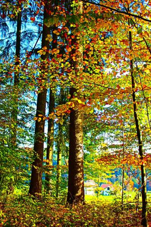 Название: image.jpg
Просмотров: 767
Размер: 68.7 Кб