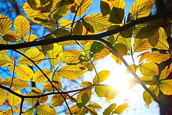 Название: image.jpg
Просмотров: 766
Размер: 67.8 Кб