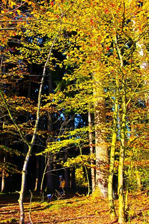 Название: image.jpg
Просмотров: 777
Размер: 66.1 Кб