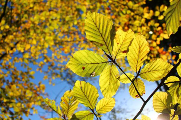 Название: image.jpg
Просмотров: 755
Размер: 55.3 Кб