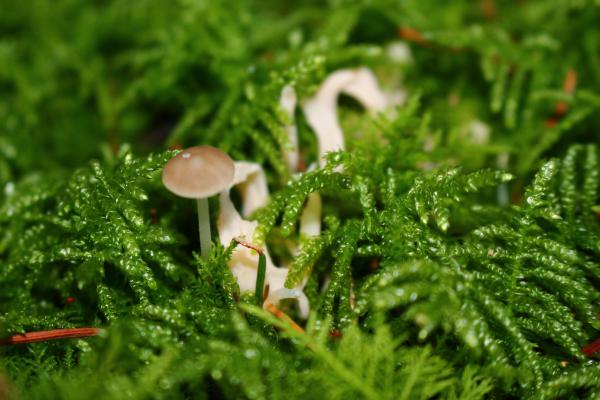 Название: image.jpg
Просмотров: 491
Размер: 40.6 Кб