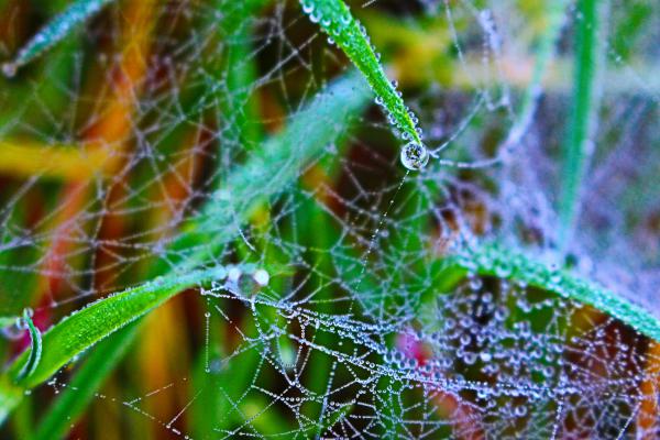 Название: image.jpg
Просмотров: 652
Размер: 50.1 Кб