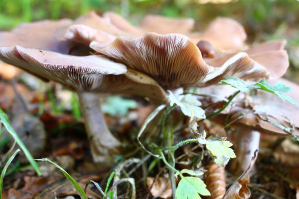 Название: image.jpg
Просмотров: 480
Размер: 39.4 Кб