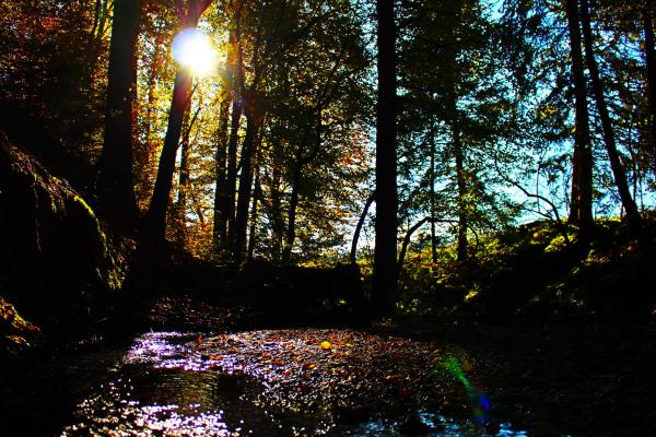 Название: image.jpg
Просмотров: 652
Размер: 71.8 Кб