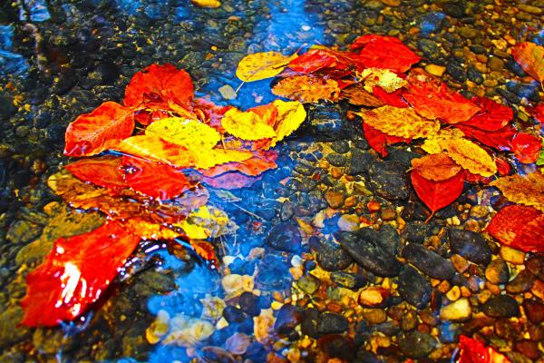 Название: image.jpg
Просмотров: 777
Размер: 77.4 Кб