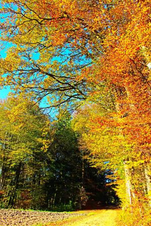 Название: image.jpg
Просмотров: 793
Размер: 60.8 Кб