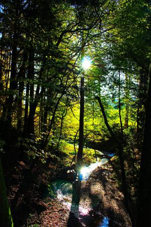 Название: image.jpg
Просмотров: 664
Размер: 46.7 Кб