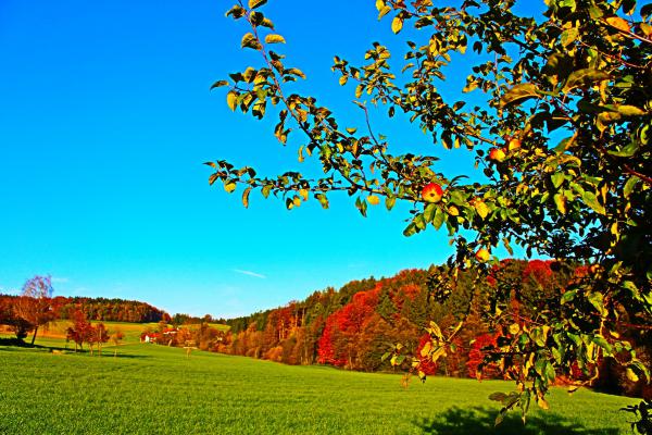 Название: image.jpg
Просмотров: 799
Размер: 68.8 Кб