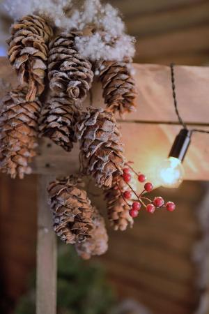 Название: 1015761_10202769305783014_7050258257571362368_o.jpg
Просмотров: 614
Размер: 22.1 Кб