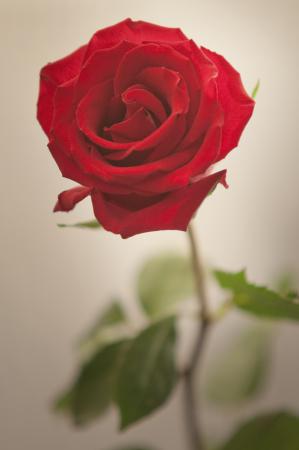Название: DSC_0123.jpg
Просмотров: 733
Размер: 11.5 Кб