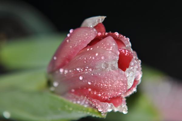 Название: DSC_0151.jpg
Просмотров: 743
Размер: 20.3 Кб