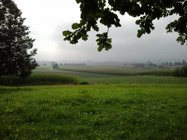 Название: 2012-08-04 08.43.43.jpg
Просмотров: 324

Размер: 49.9 Кб