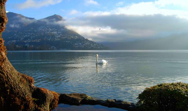 Название: dsc_6186_1.jpg
Просмотров: 804
Размер: 32.6 Кб