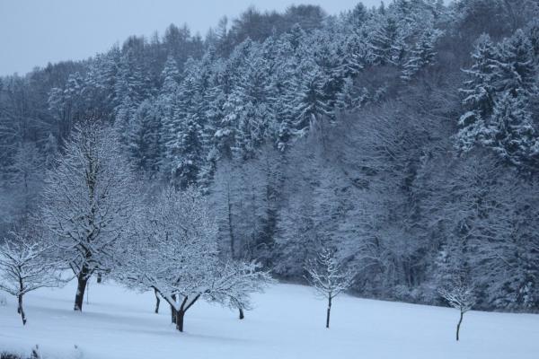 Название: image.jpg
Просмотров: 1092
Размер: 46.8 Кб