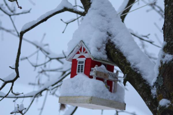 Название: image.jpg
Просмотров: 904
Размер: 29.9 Кб