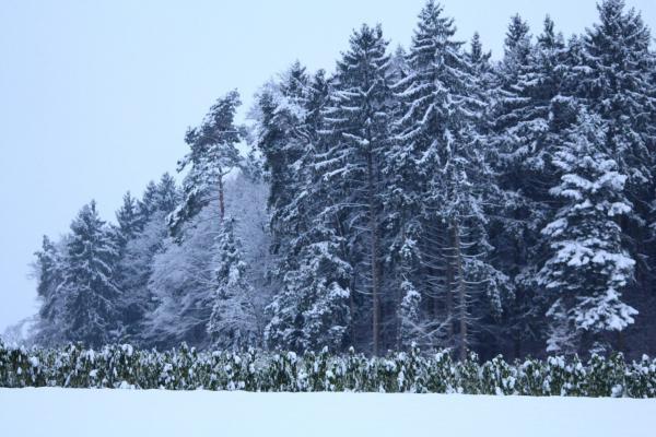 Название: image.jpg
Просмотров: 1200
Размер: 51.9 Кб