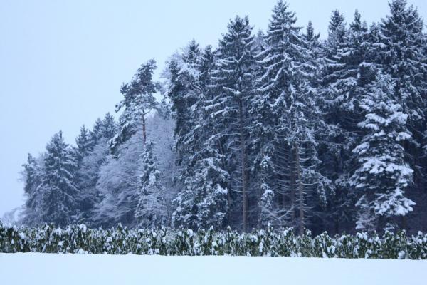 Название: image.jpg
Просмотров: 175

Размер: 51.9 Кб