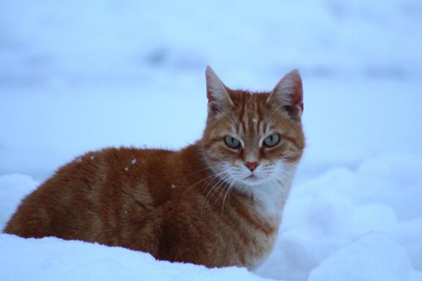 Название: image.jpg
Просмотров: 1195
Размер: 18.0 Кб