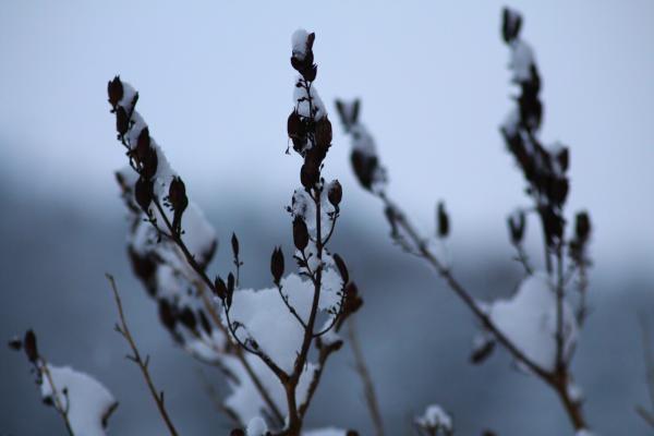 Название: image.jpg
Просмотров: 1077
Размер: 21.0 Кб