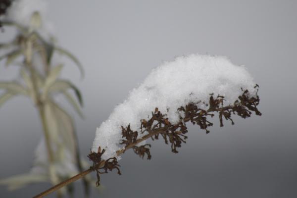 Название: image.jpg
Просмотров: 1104
Размер: 15.8 Кб