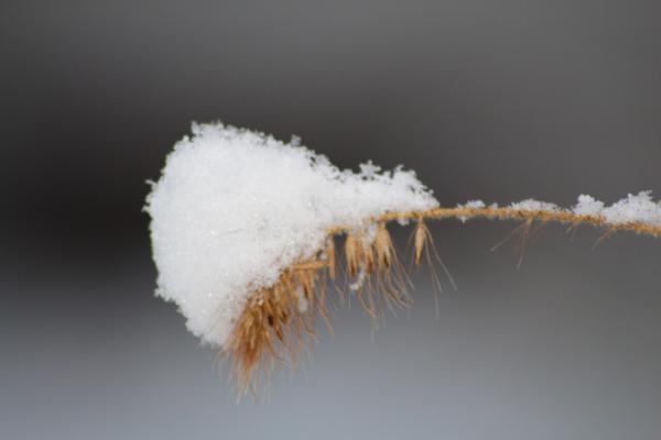 Название: image.jpg
Просмотров: 1100
Размер: 13.6 Кб