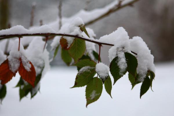 Название: image.jpg
Просмотров: 1100
Размер: 23.3 Кб