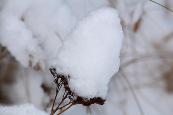 Название: image.jpg
Просмотров: 906
Размер: 17.5 Кб