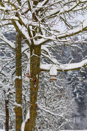 Название: image.jpg
Просмотров: 909
Размер: 46.2 Кб