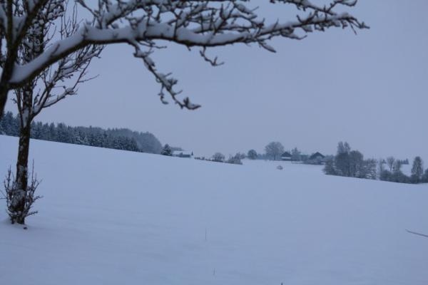 Название: image.jpg
Просмотров: 880
Размер: 20.3 Кб