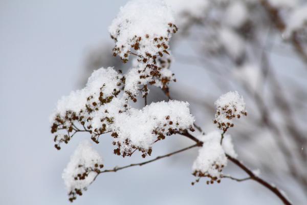 Название: image.jpg
Просмотров: 1173
Размер: 25.3 Кб