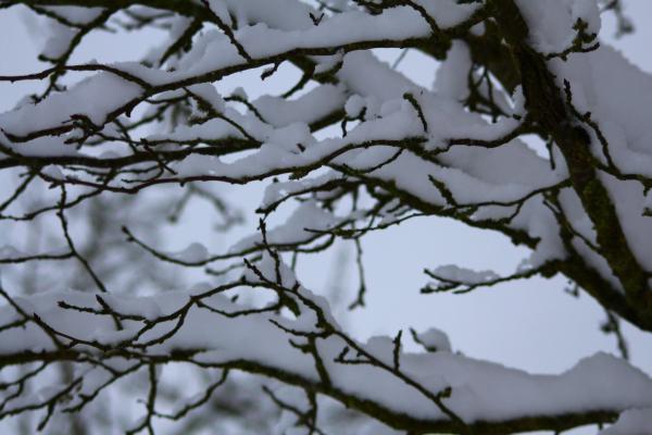 Название: image.jpg
Просмотров: 1090
Размер: 37.5 Кб