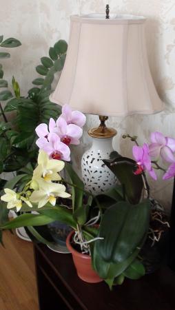 Название: 020.jpg
Просмотров: 746
Размер: 17.6 Кб