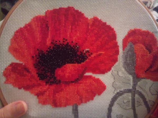 Название: DSC_0864.jpg
Просмотров: 630
Размер: 45.2 Кб