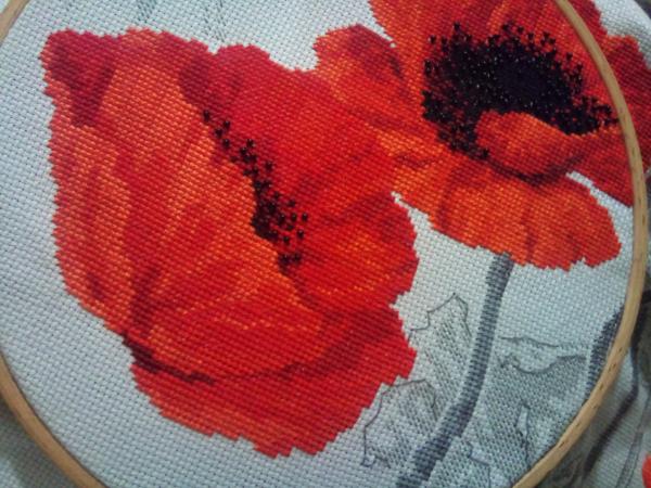 Название: DSC_0871.jpg
Просмотров: 527
Размер: 57.0 Кб