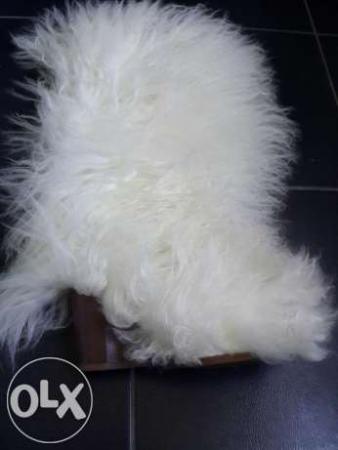 Название: 215205748_7_644x461_sapogi-fendi-36-35-razmer-.jpg
Просмотров: 273

Размер: 15.6 Кб