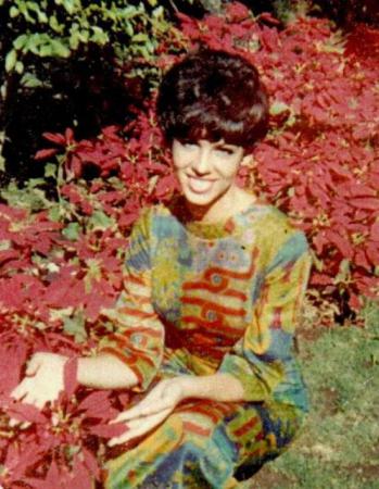 Название: apfel1.jpg
Просмотров: 978
Размер: 37.3 Кб