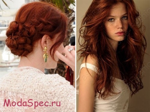 Название: cvet-volos-2016-10.jpg
Просмотров: 531
Размер: 77.2 Кб