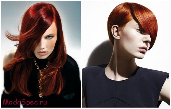 Название: cvet-volos-2016-11.jpg
Просмотров: 890
Размер: 28.3 Кб